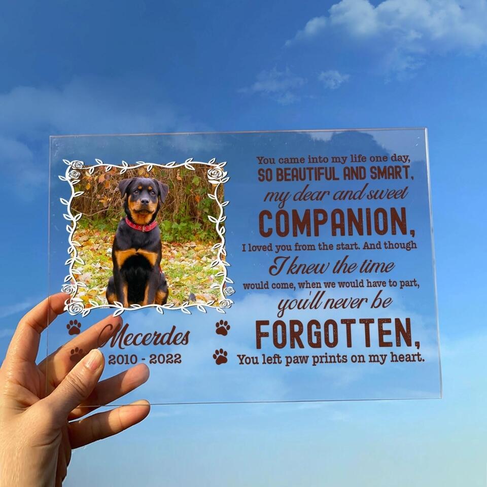 Personalized Custom Photo Pet Loss Acrylic Plaque - Memorial Gift Idea For Pet Lover - Paw Prints On My Heart