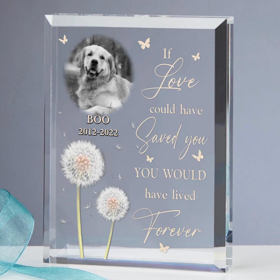 Personalized Memorial Pet Photo Rectangle Acrylic Plaque - Memorial Gift For Pet Owners - If Love Could Have Saved You You Would Have Lived Forever