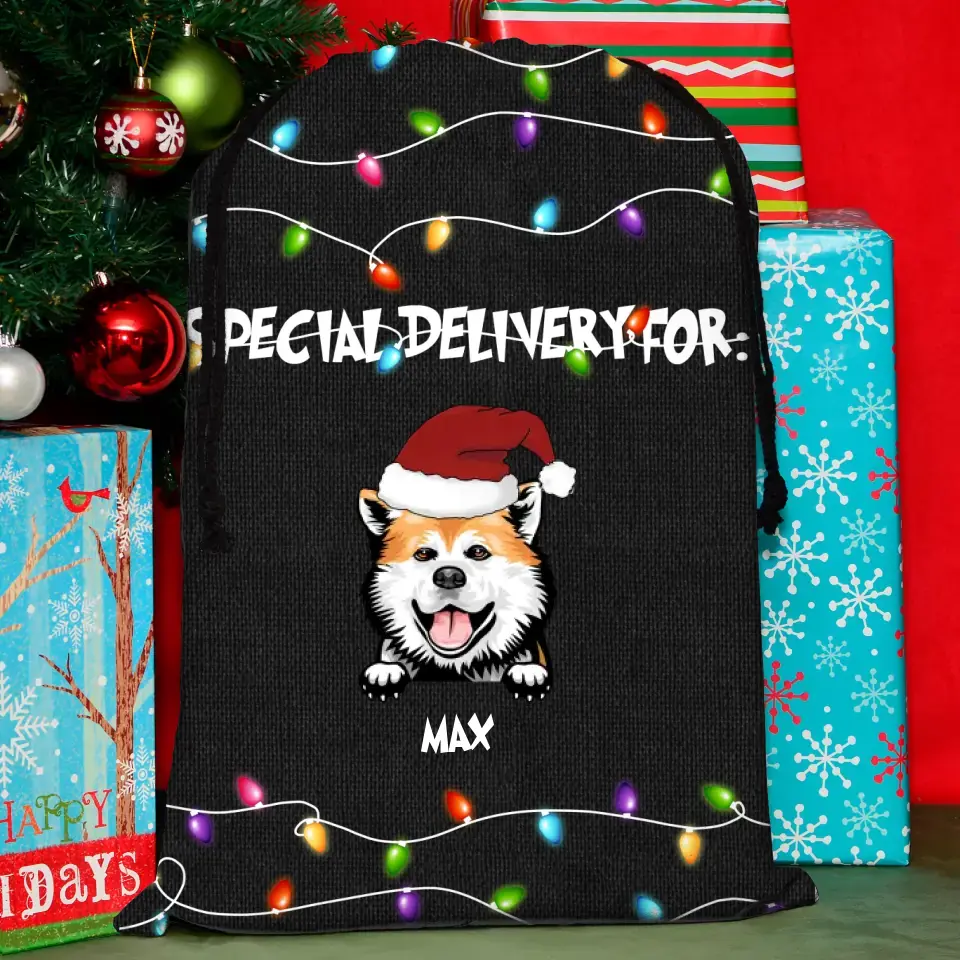 Personalized Christmas Dog Santa Sack - Gift Idea For Christmas/Dogs Lover - Up to 4 Dogs - Special Delivery For Dog