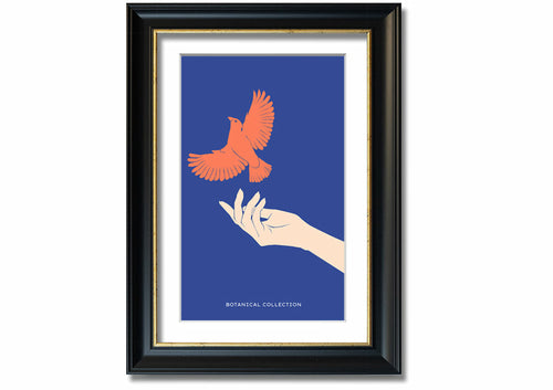 Dove From A Hand Flight
