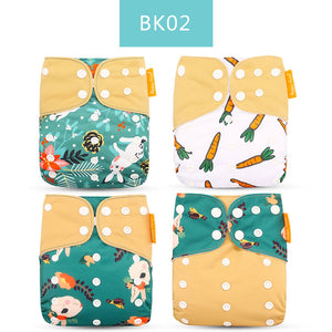 T008 bk02