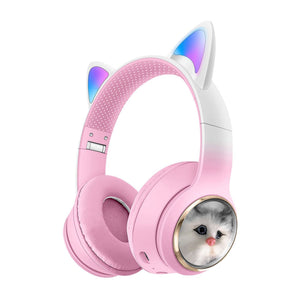 AKZ 09 simulation cat fan