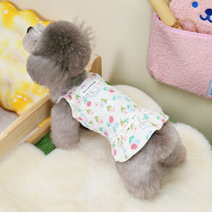 Little rabbit