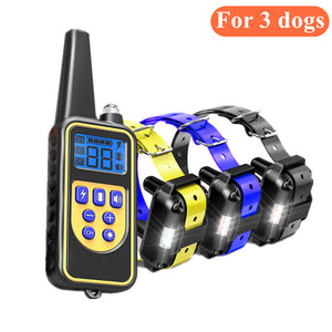 For 3 dogs-A