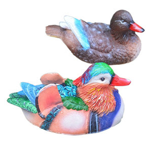 Medium light colored floating mandarin duck
