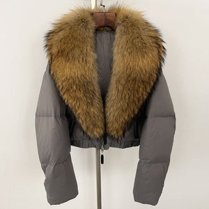 Gray Raccoon Fur