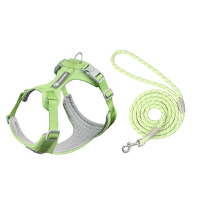 Matcha Green Set