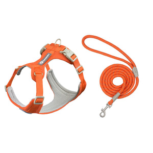 Tropical Orange Set