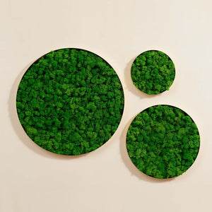 Green + Iron