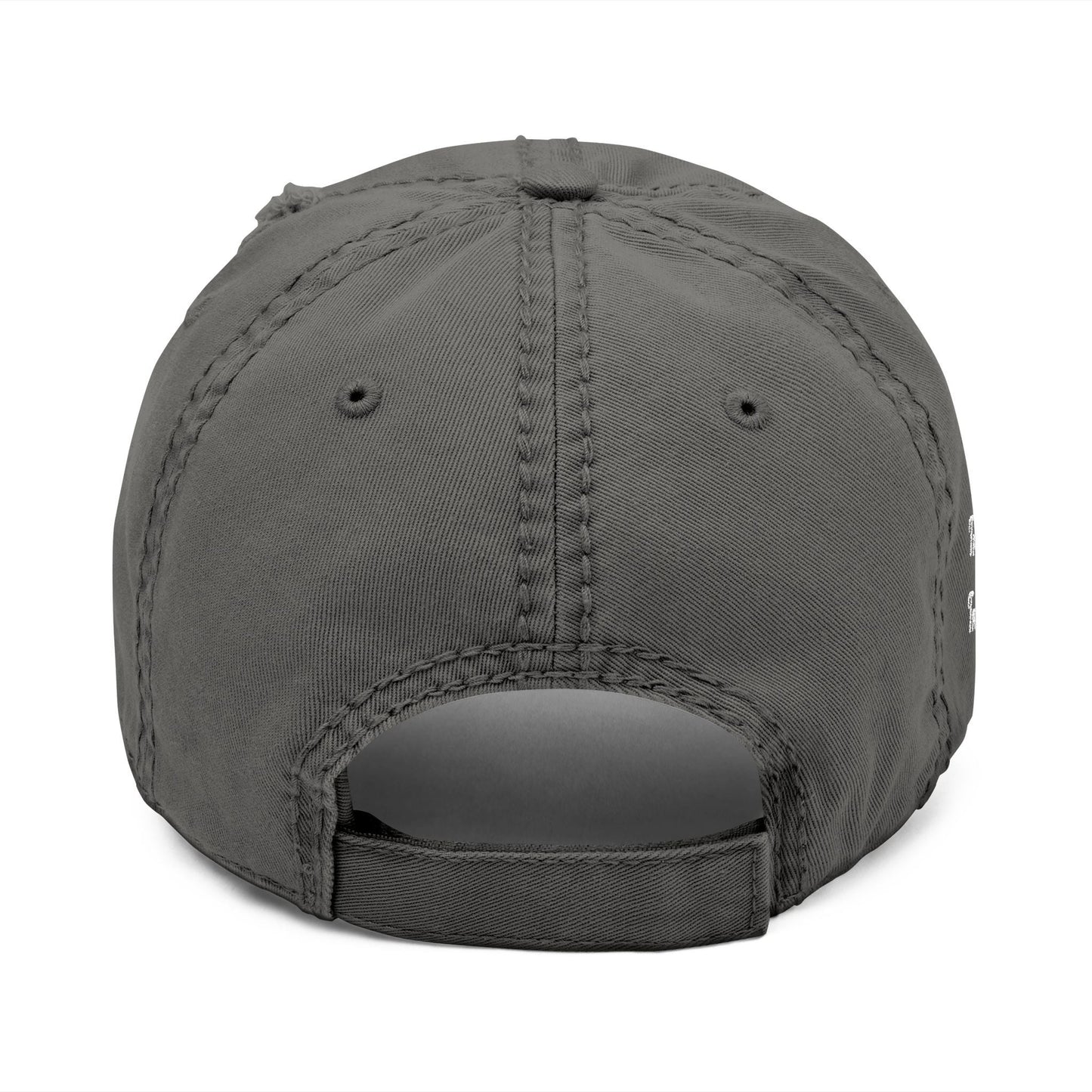 Motivation Is a Universal Language Embroidered Dad Hat