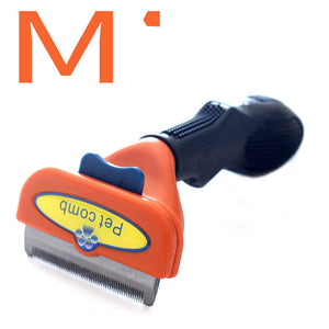 M Shorthair