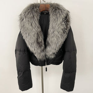 Black Silver Fox