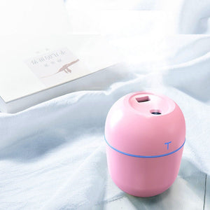 Pink Plug in Type
