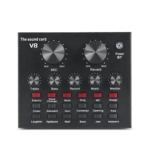 V8