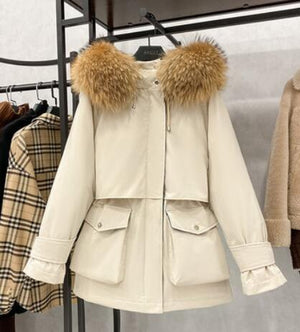 Raccoon fur