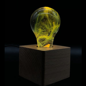 bulb&wood base