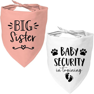Sisterbaby Security