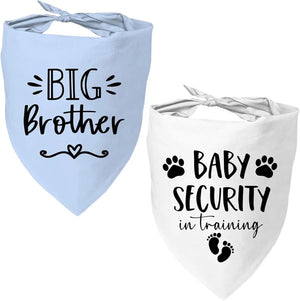 Brotherbaby Security