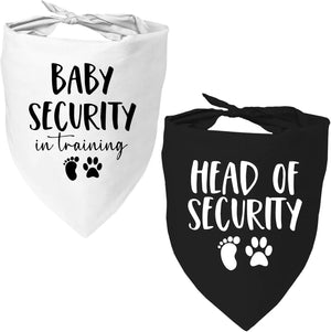 Head Of Security