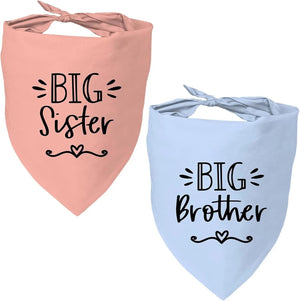 Big Sister Brother B