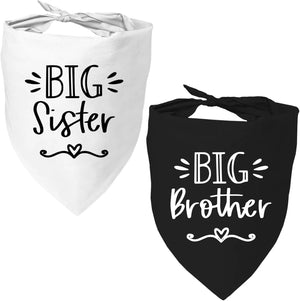 Big Sister Brother A