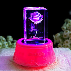 Single lamp holder