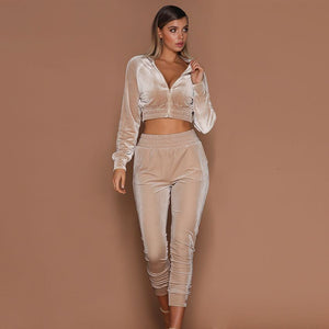 Apricot