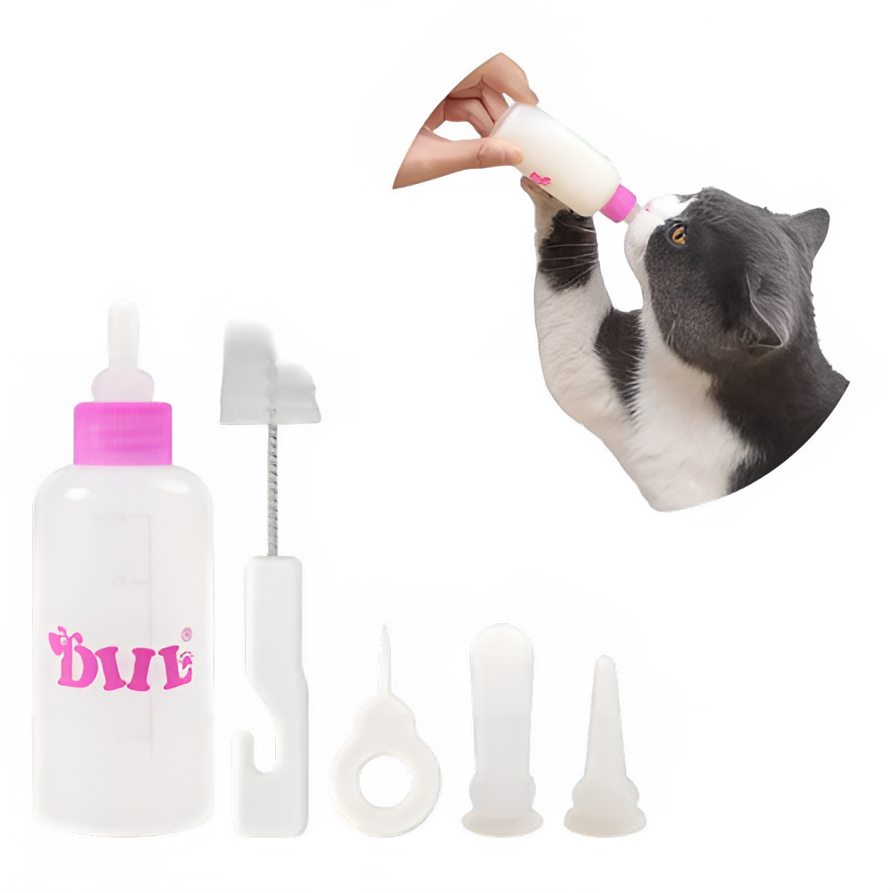 236b06ed-71c1-40fc-a4eb-afe00220fba8