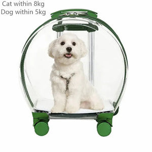 K9 Green