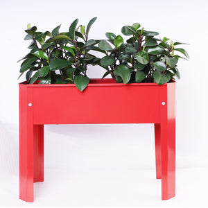 Red + Steel