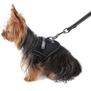 Black with rope