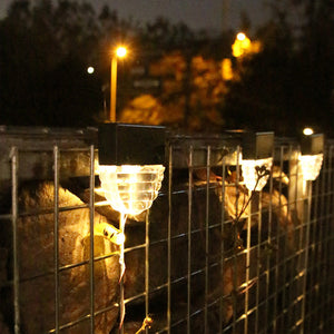 Semicircular ladder light