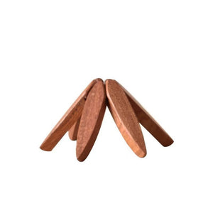 Sabal Leaf
