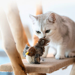 Little bird