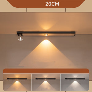 Black tricolor light