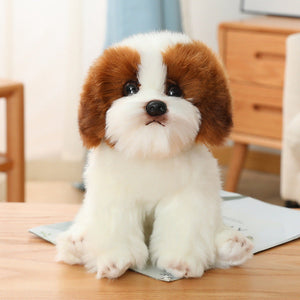 Poodle