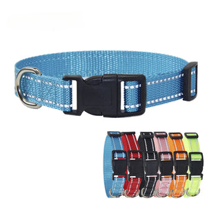 Blue Collar