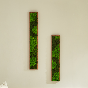 Green + Iron
