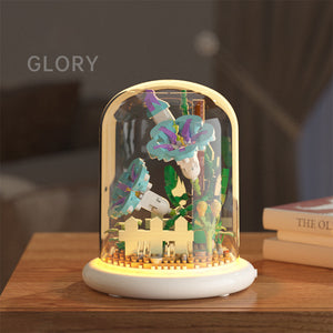 Morning Glory