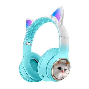 AKZ 09 Simulation Cat Blue