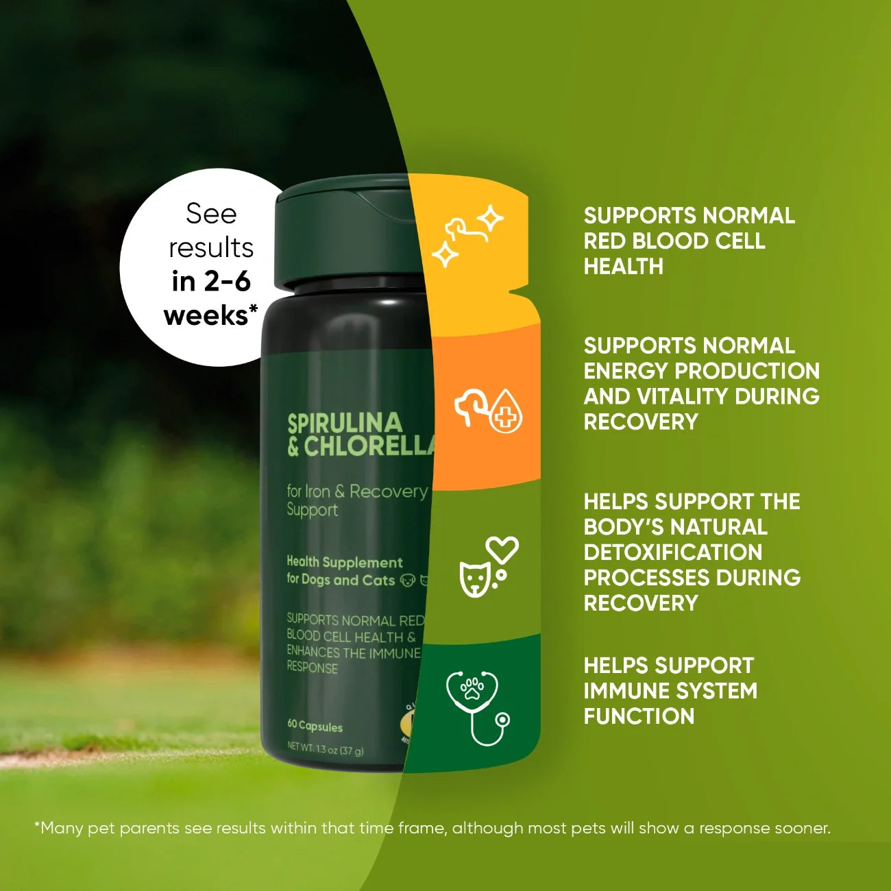 Spirulina & Chlorella