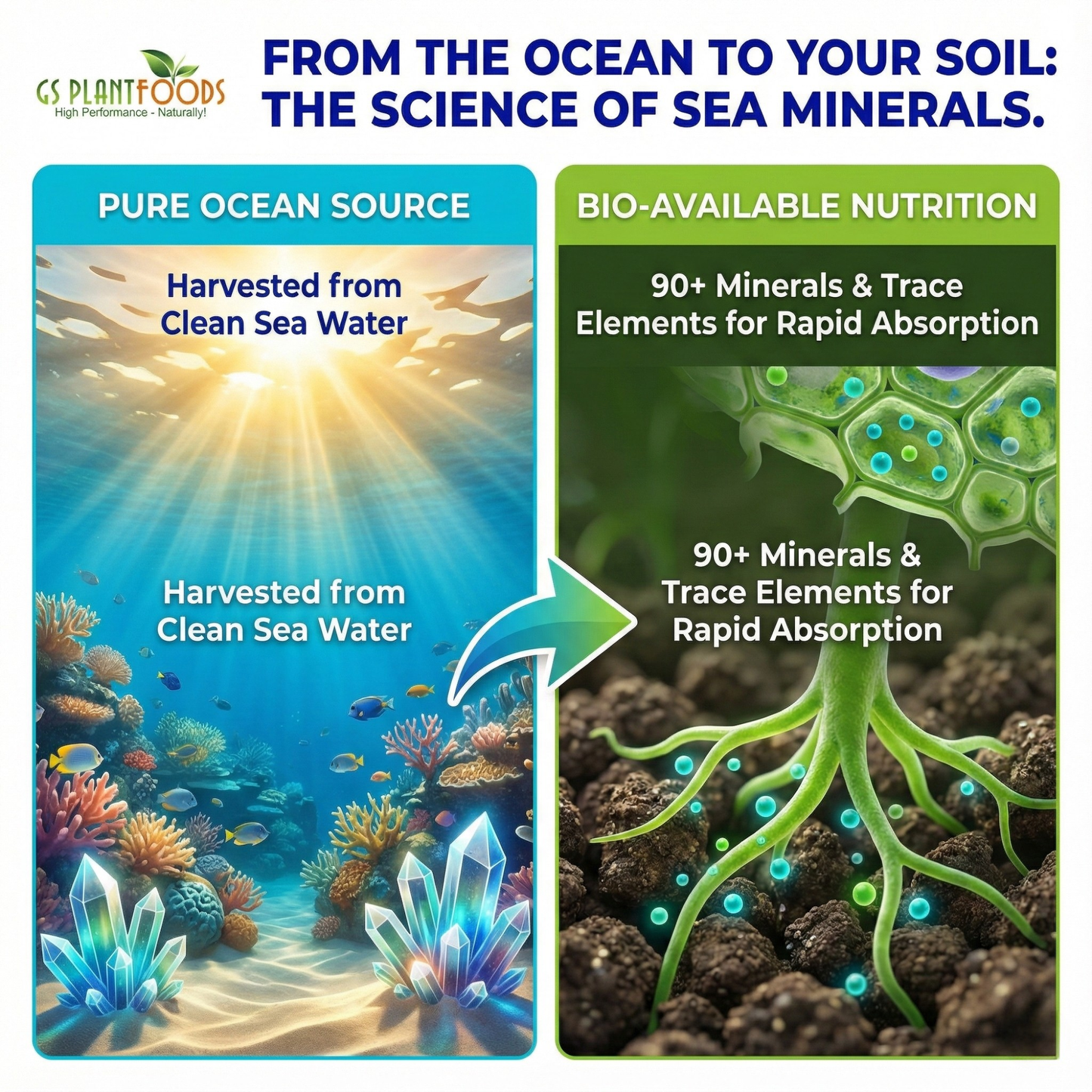 Ocean Magic Sea Minerals