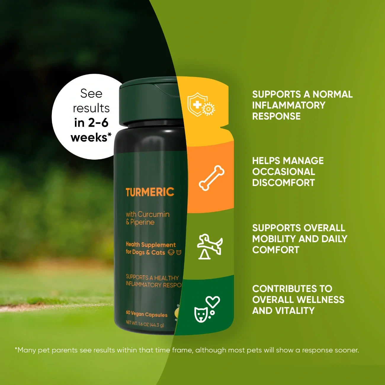 Turmeric
