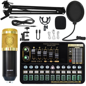 Microphone4