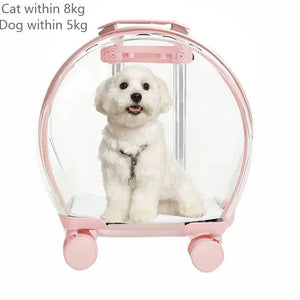 K9 Pink