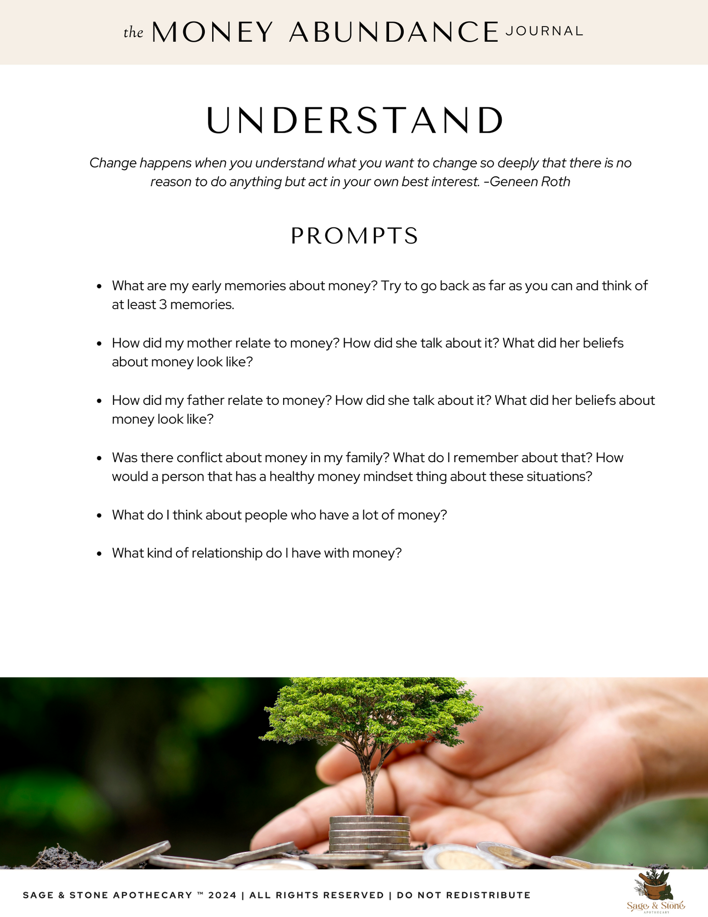 The Money Abundance Journal