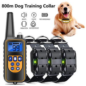 For 3 dogs-B