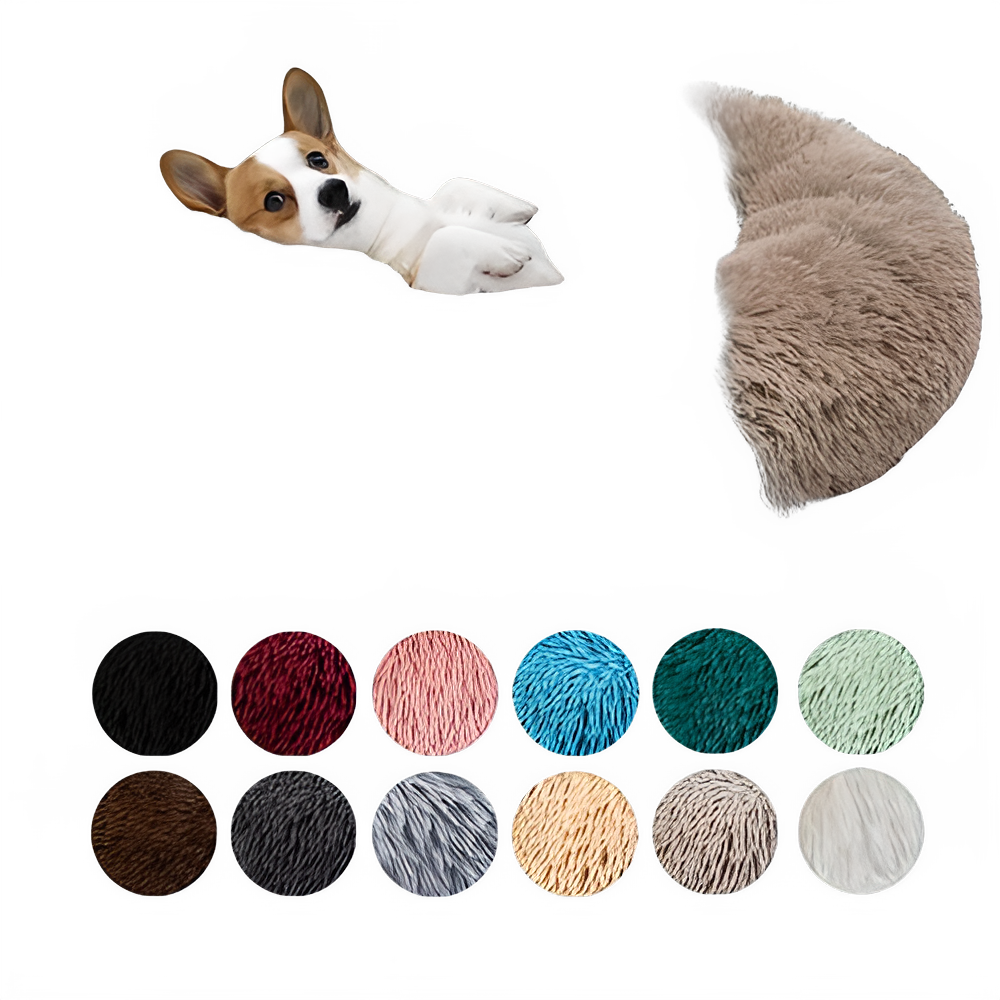 54efa96f-3eb9-4440-8255-c938eff88014