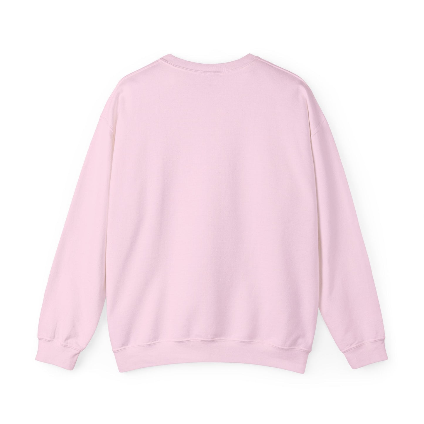 Crewneck Sweatshirt — "Motivation Is a Universal Language" Inspirational Pullover