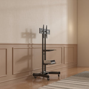 Black + Iron + 70-79 inches + Primary Living Space